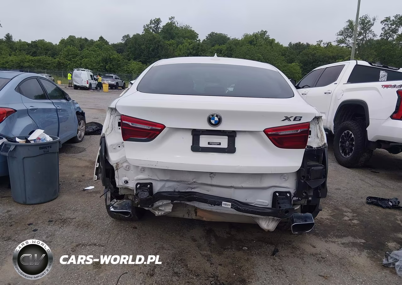 2019 BMW X6 Sdrive35I VIN:5UXKU0C51K0G92990 - 17