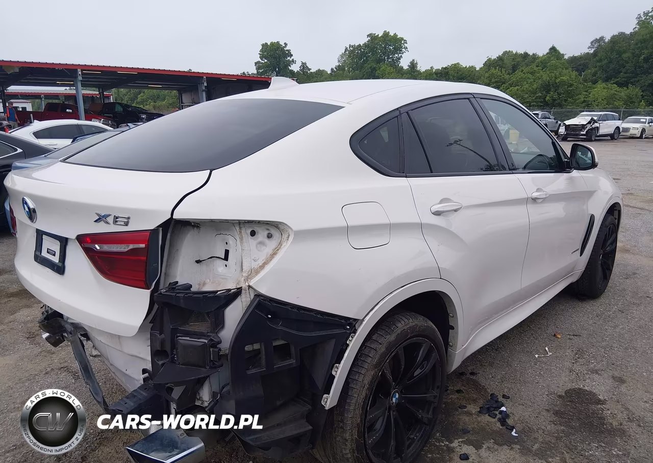 2019 BMW X6 Sdrive35I VIN:5UXKU0C51K0G92990 - 4