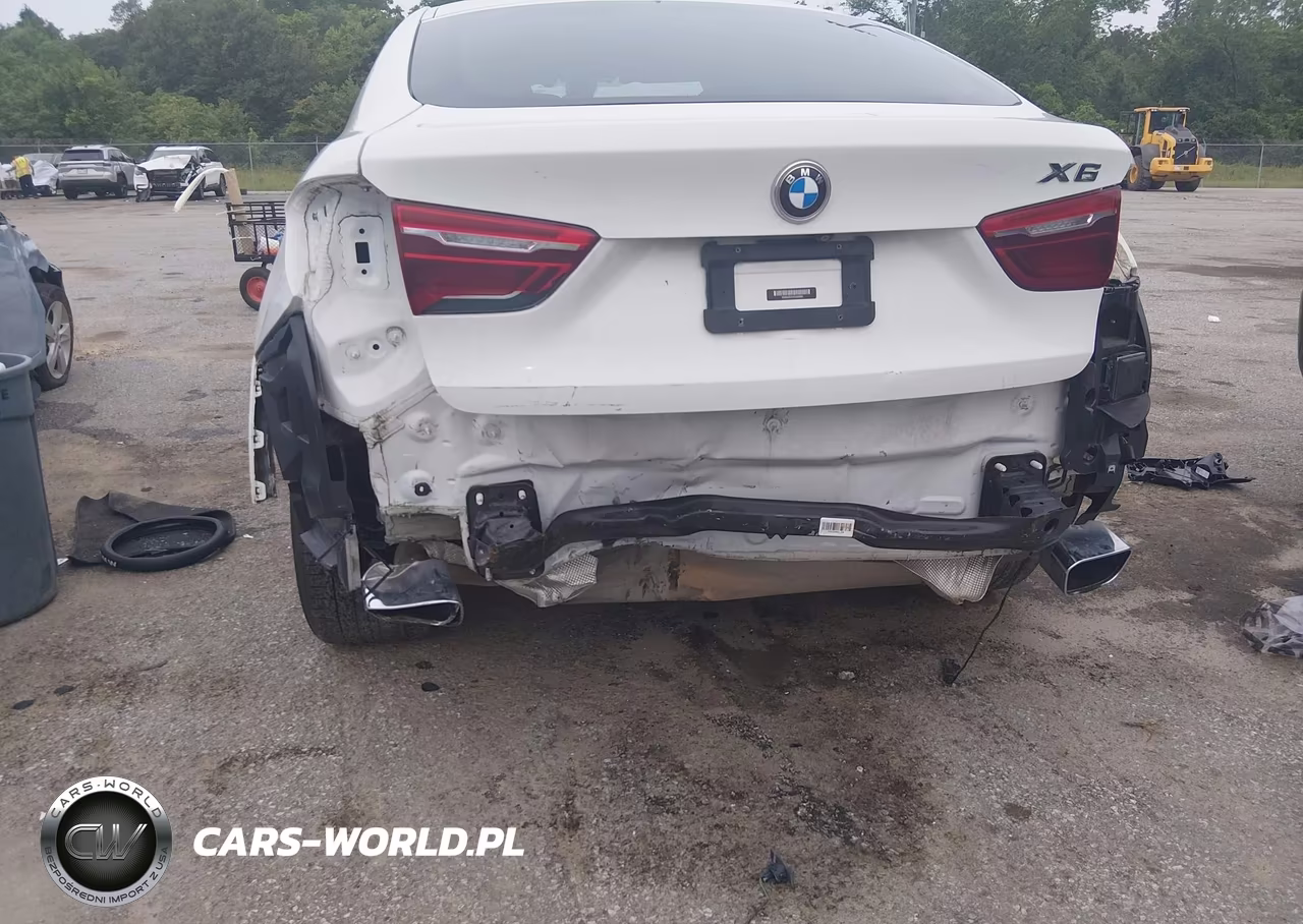 2019 BMW X6 Sdrive35I VIN:5UXKU0C51K0G92990 - 6