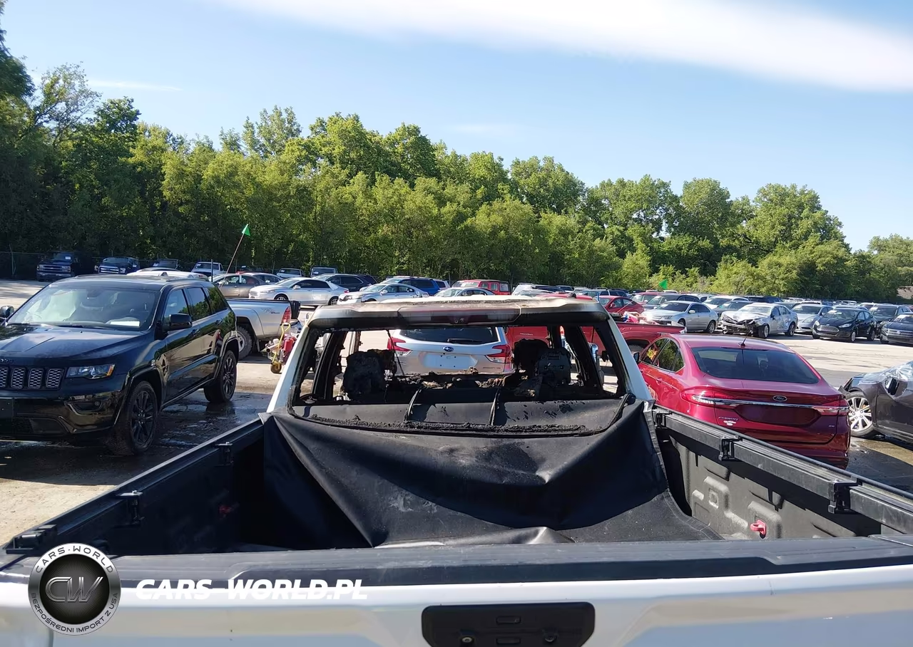 2020 GMC Sierra 1500 4Wd Standard Box At4 VIN:3GTU9EET8LG244079 - 11