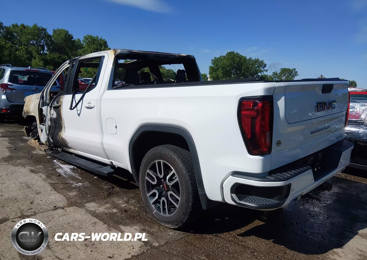 2020 GMC Sierra 1500 4Wd Standard Box At4 VIN:3GTU9EET8LG244079 - 3