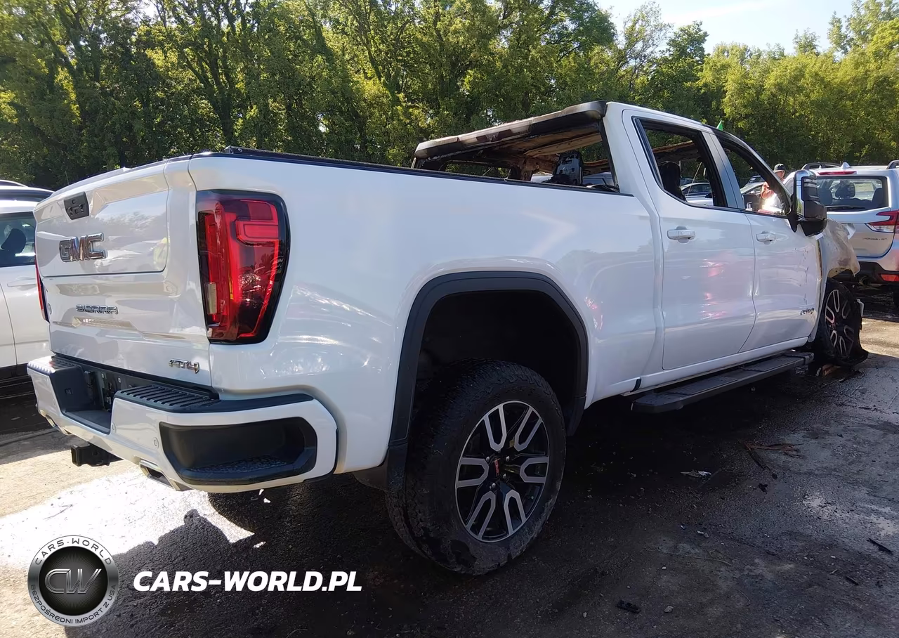 2020 GMC Sierra 1500 4Wd Standard Box At4 VIN:3GTU9EET8LG244079 - 4
