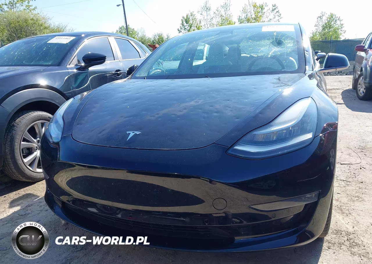 2020 Tesla Model 3 Long Range Dual Motor All-Wheel Drive VIN:5YJ3E1EB6LF787928 - 12