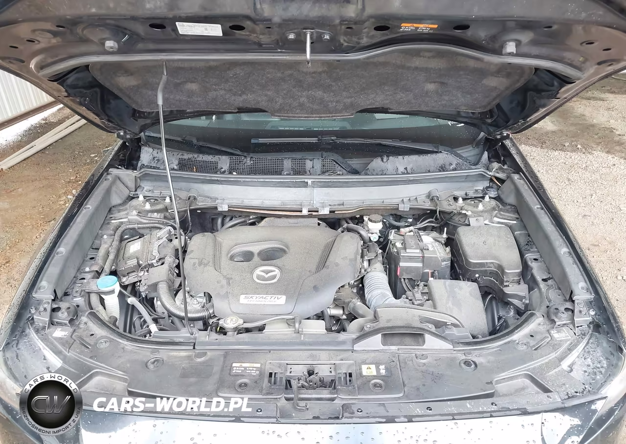 2016 Mazda Cx-9 Grand Touring VIN:JM3TCADY0G0111966 - 10