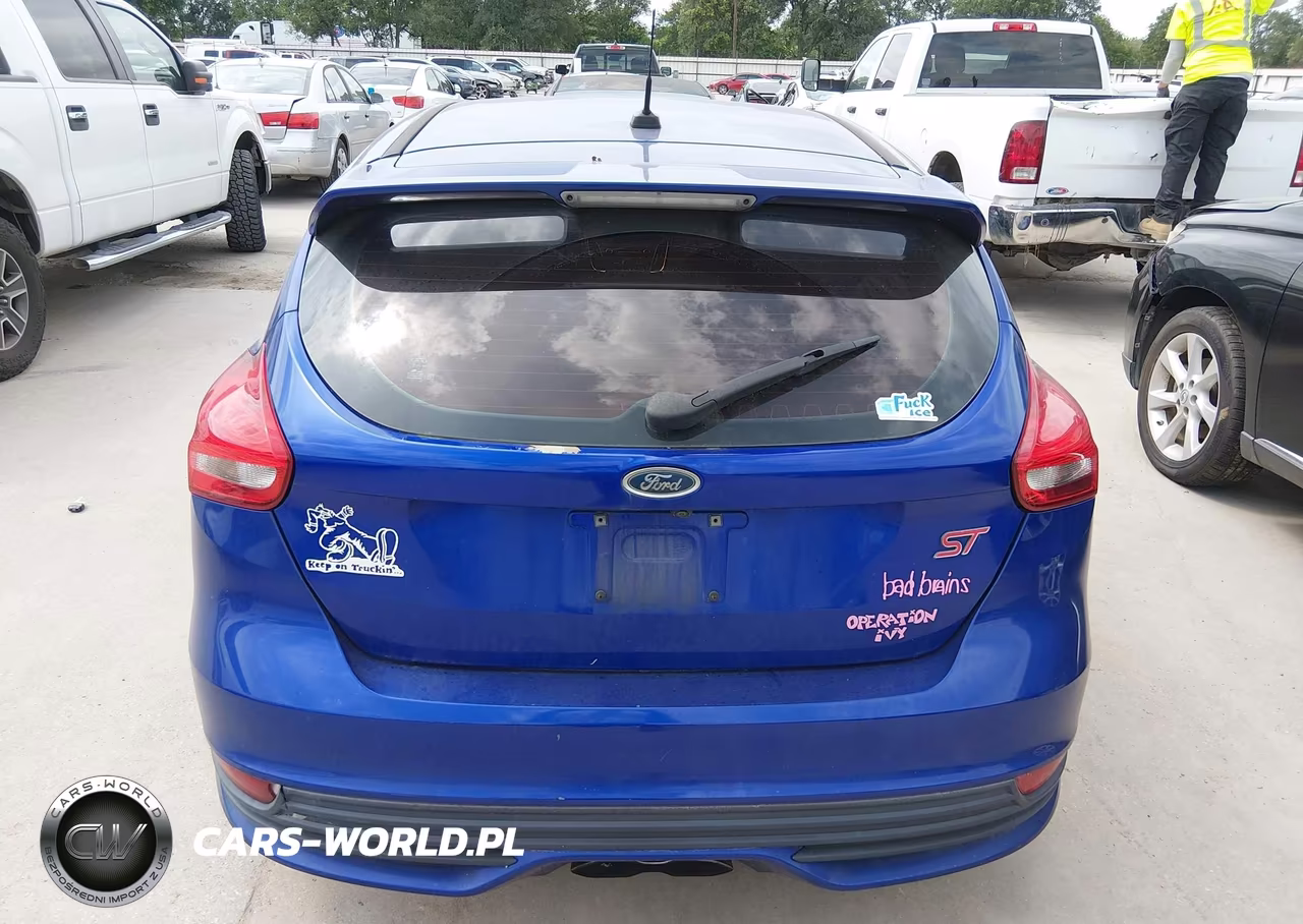 2015 Ford Focus St VIN:1FADP3L93FL334111 - 16