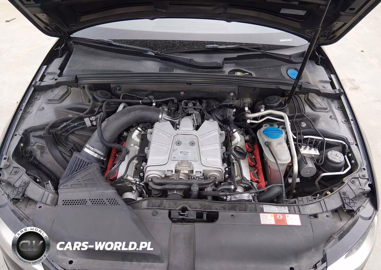 2010 Audi S4 3.0 Premium Plus VIN:WAUKGAFL1AA104114 - 10