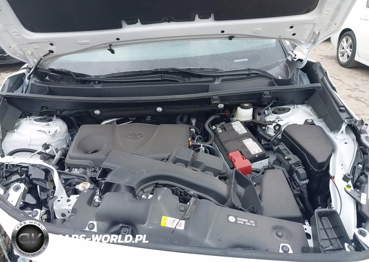 2025 Toyota Rav4 Xle VIN:2T3W1RFV7SW396294 - 10