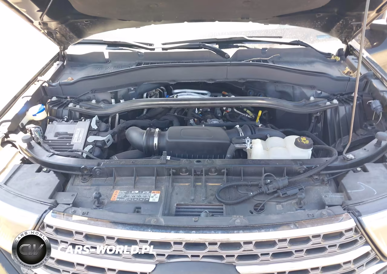 2021 Ford Explorer King Ranch VIN:1FM5K8LC4MGB79494 - 10