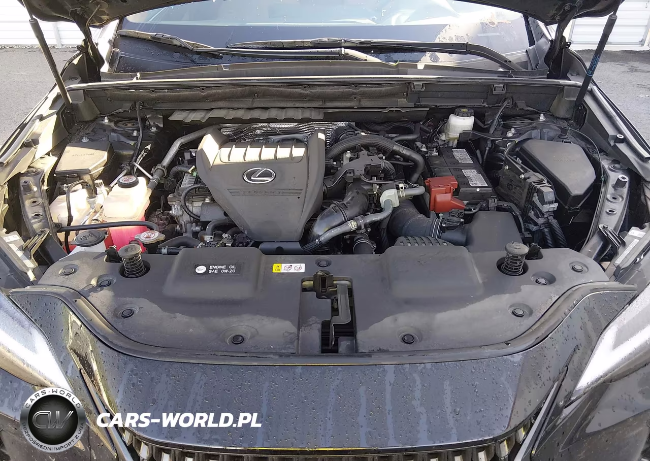 2025 Lexus Nx 350 Premium VIN:2T2GGCEZXSC072783 - 10