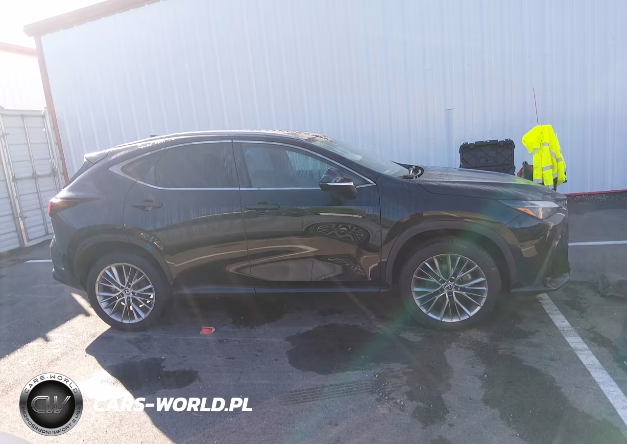 2025 Lexus Nx 350 Premium VIN:2T2GGCEZXSC072783 - 13