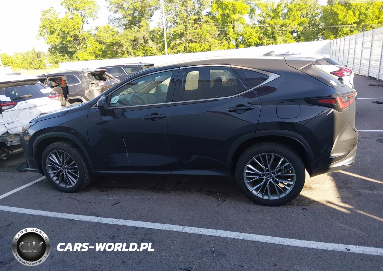 2025 Lexus Nx 350 Premium VIN:2T2GGCEZXSC072783 - 14