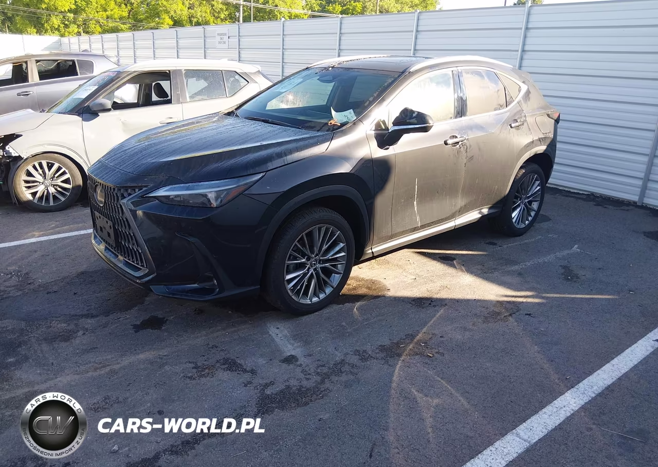 2025 Lexus Nx 350 Premium VIN:2T2GGCEZXSC072783 - 2