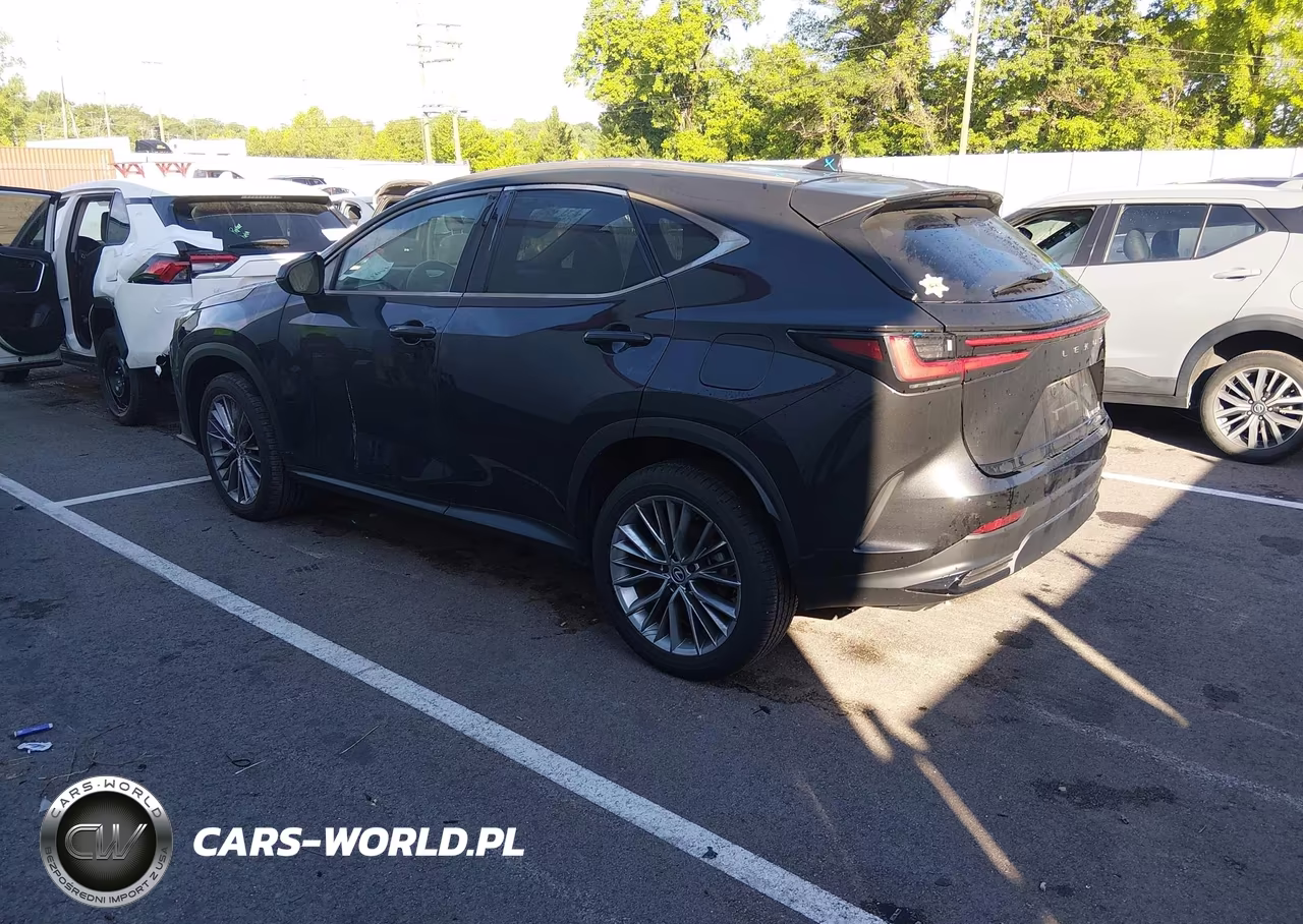 2025 Lexus Nx 350 Premium VIN:2T2GGCEZXSC072783 - 3