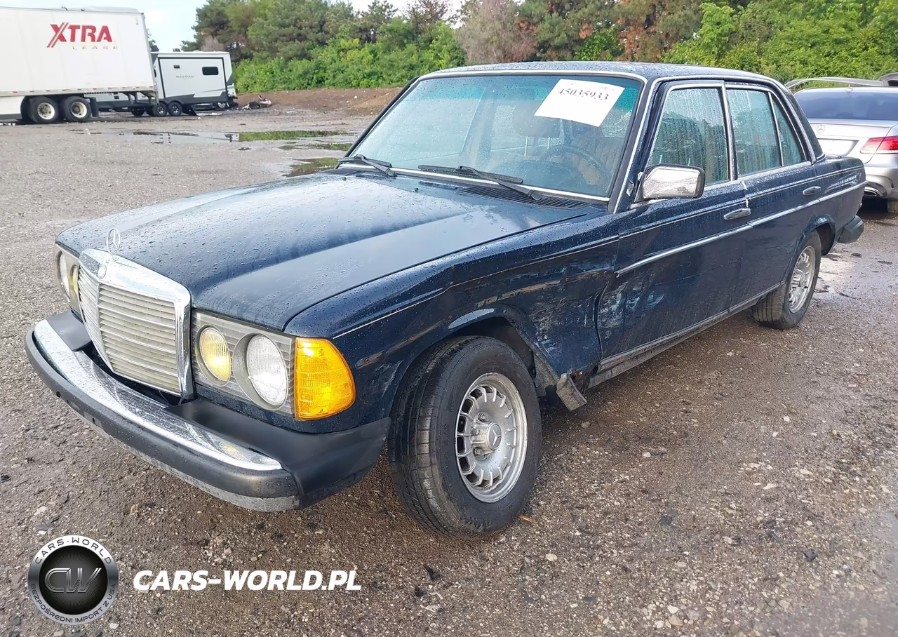1984 Mercedes-Benz 300 Dt VIN:WDBAB33A2EA182143 - 2