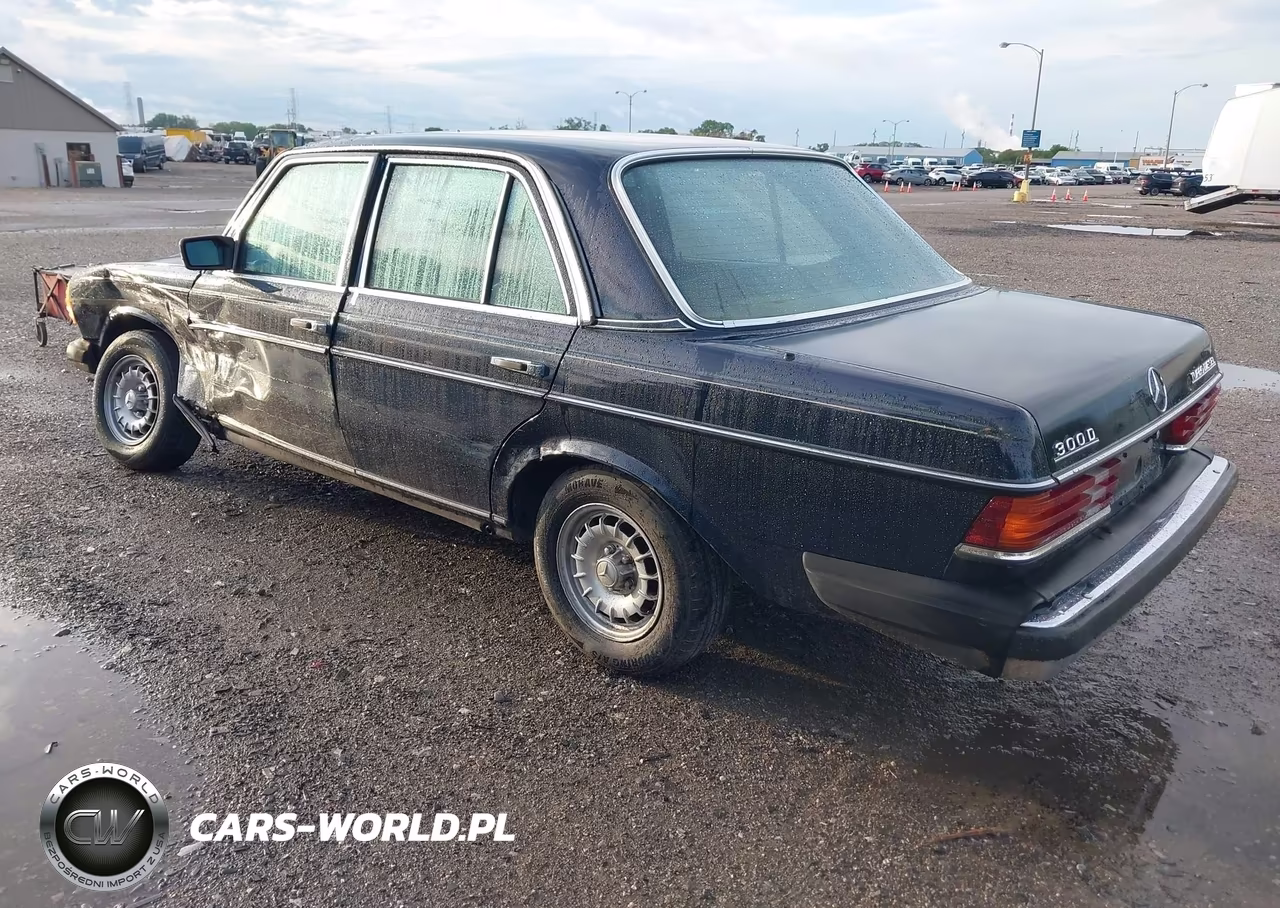 1984 Mercedes-Benz 300 Dt VIN:WDBAB33A2EA182143 - 3