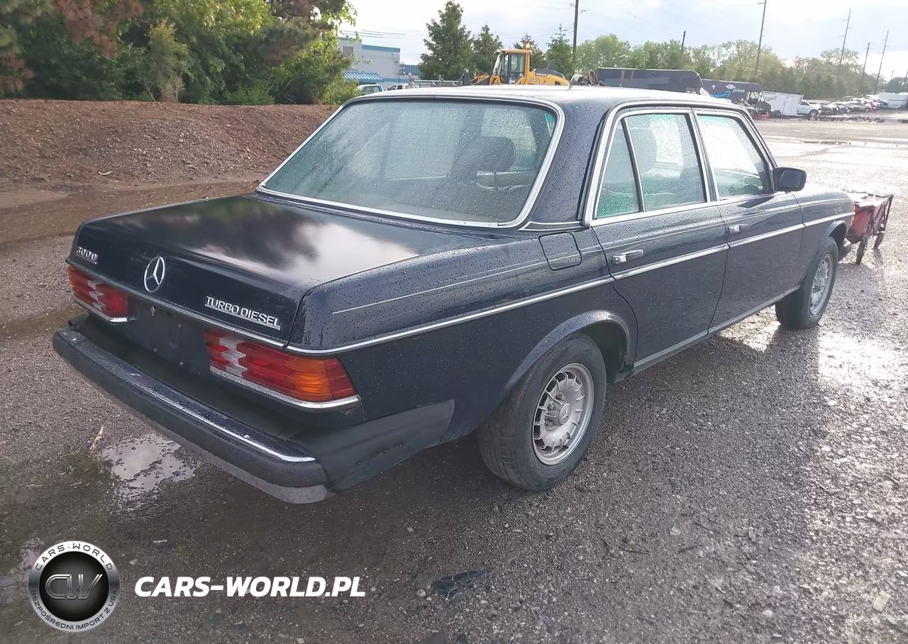 1984 Mercedes-Benz 300 Dt VIN:WDBAB33A2EA182143 - 4
