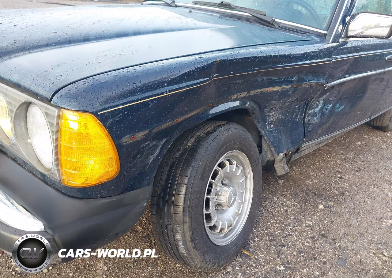1984 Mercedes-Benz 300 Dt VIN:WDBAB33A2EA182143 - 6