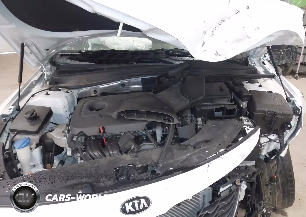 2020 Kia Optima Lx VIN:5XXGT4L39LG448761 - 10