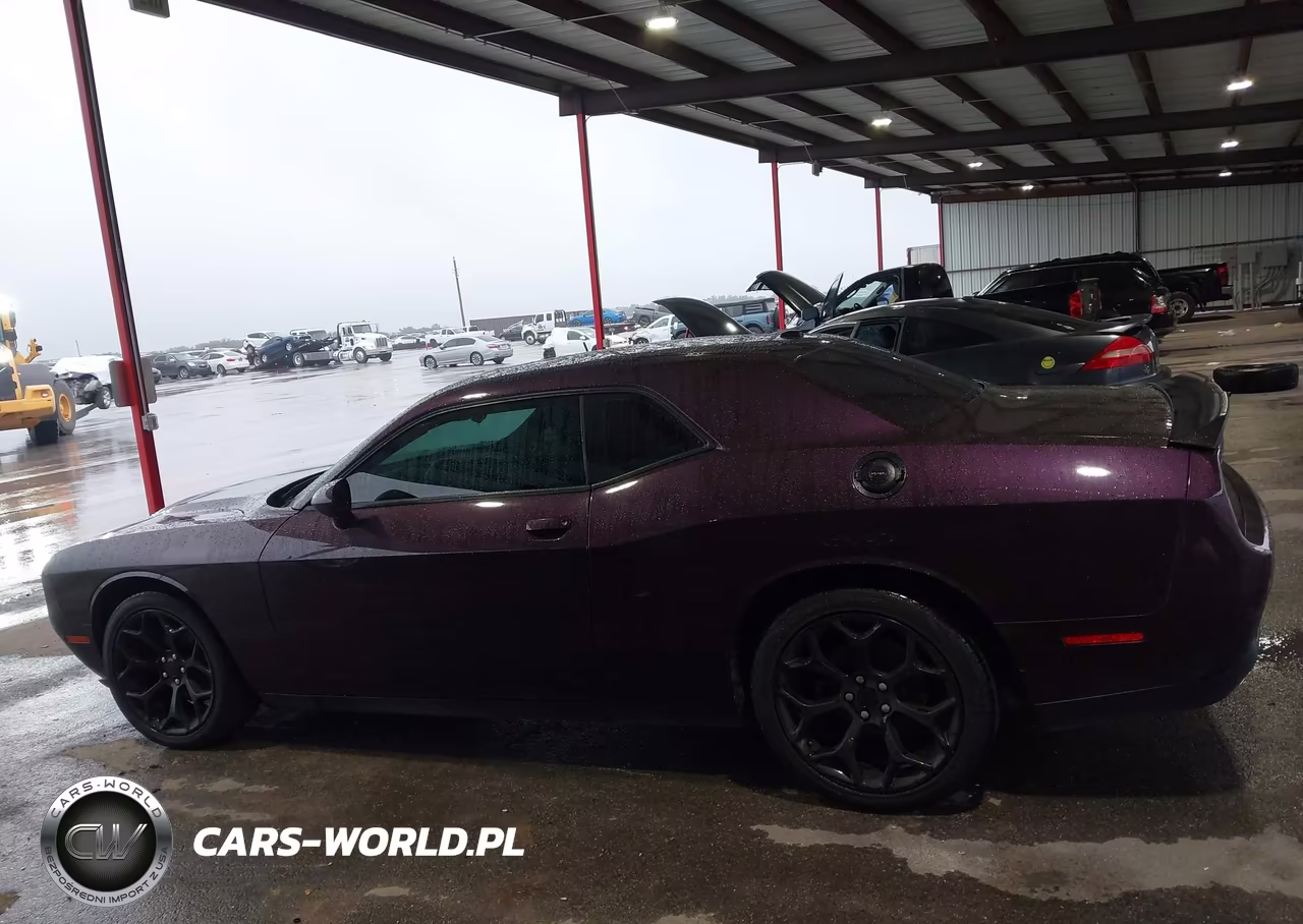 2020 Dodge Challenger Sxt VIN:2C3CDZAG8LH240113 - 14