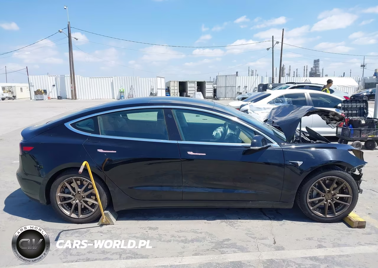 2019 Tesla Model 3 Long Range-Mid Range-Standard Range-Standard Range Plus VIN:5YJ3E1EAXKF361889 - 14