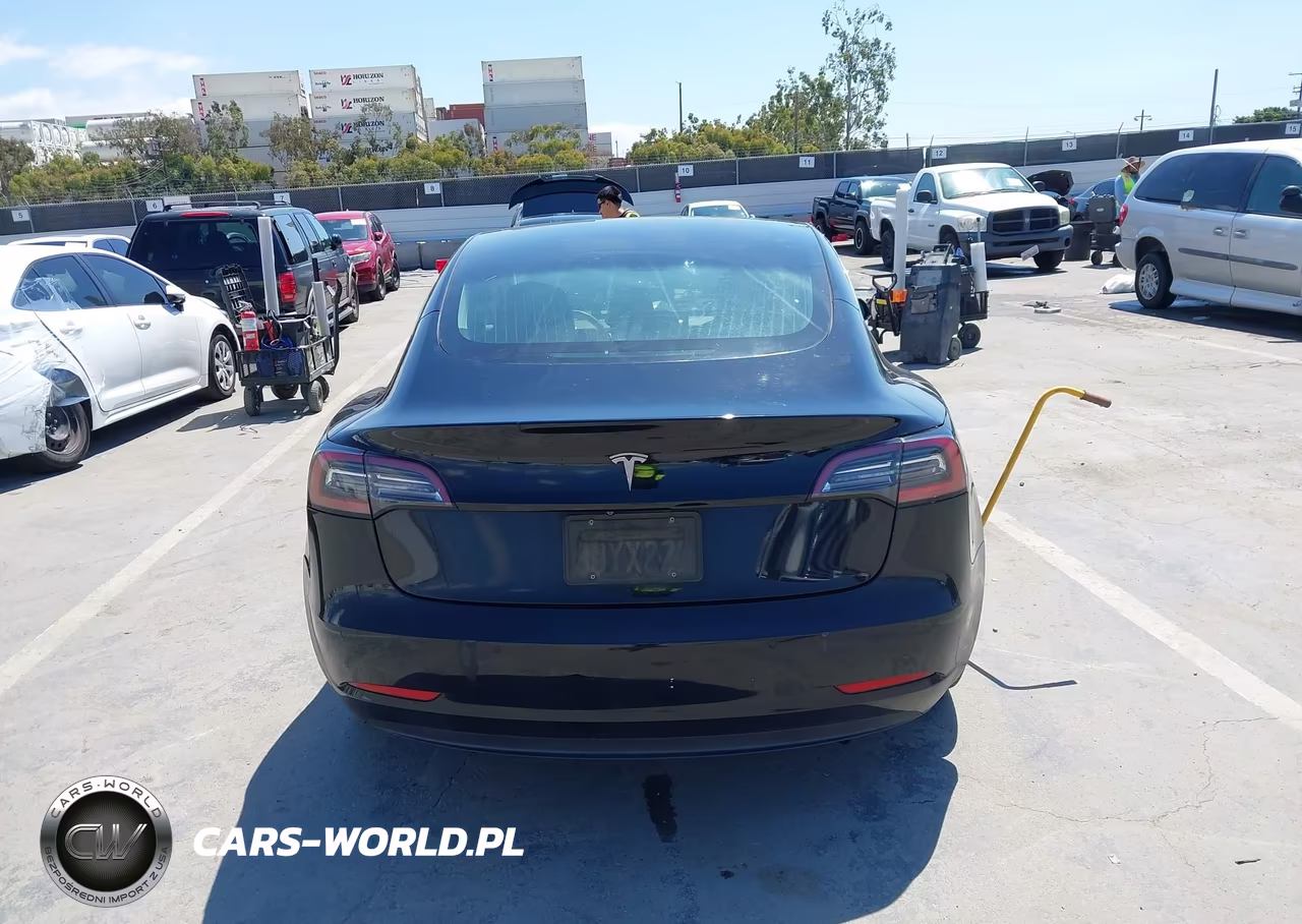 2019 Tesla Model 3 Long Range-Mid Range-Standard Range-Standard Range Plus VIN:5YJ3E1EAXKF361889 - 17