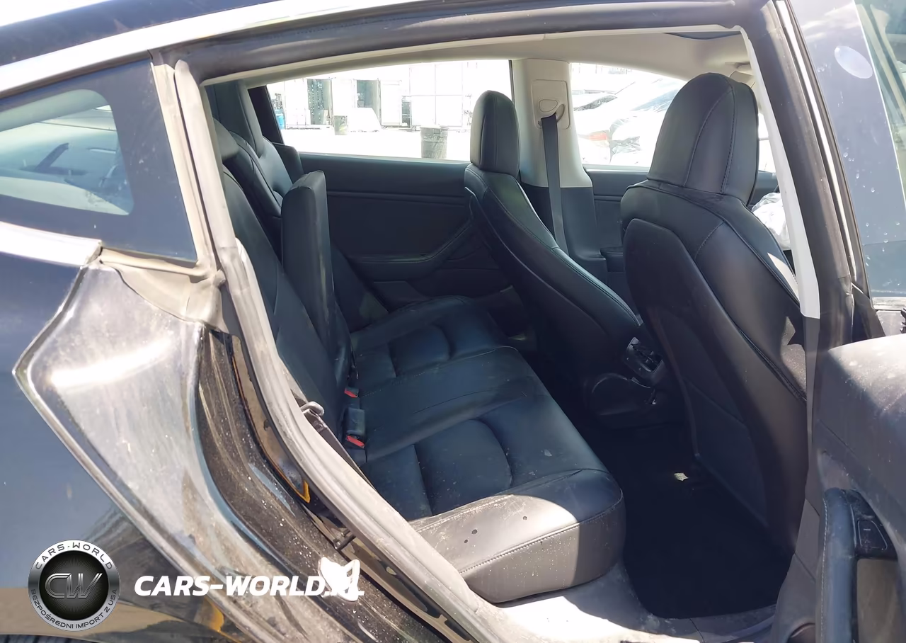 2019 Tesla Model 3 Long Range-Mid Range-Standard Range-Standard Range Plus VIN:5YJ3E1EAXKF361889 - 8