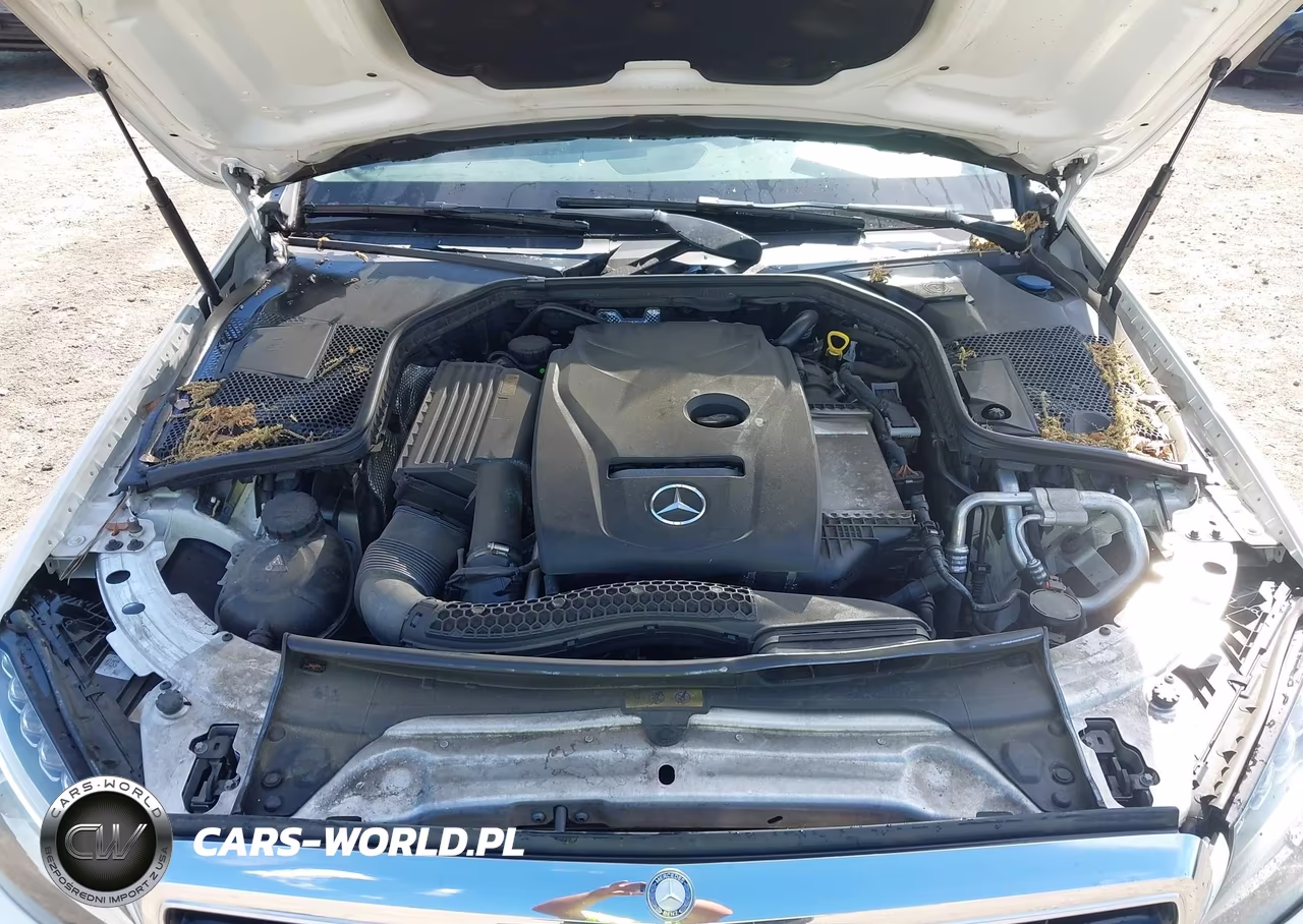 2017 Mercedes-Benz C 300 Luxury 4Matic VIN:55SWF4KB3HU208111 - 10