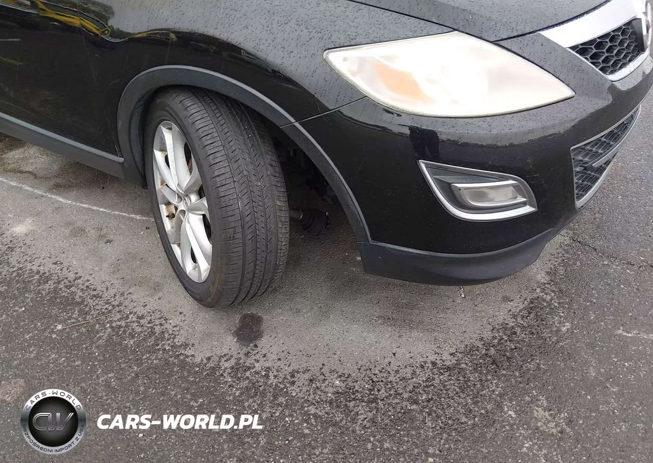 2011 Mazda Cx-9 Grand Touring VIN:JM3TB3DV7B0308596 - 6