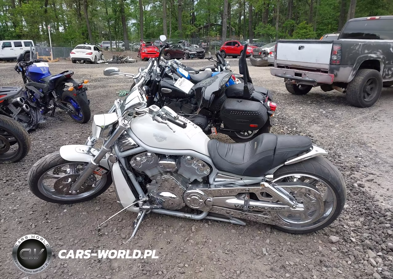2002 Harley-Davidson Vrsca VIN:1HD1HAZ162K802475 - 12