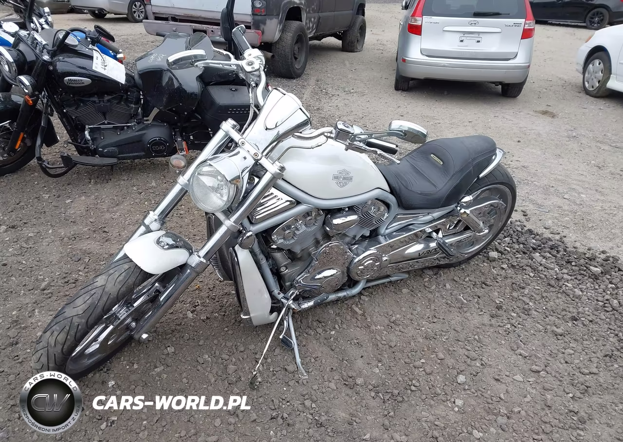 2002 Harley-Davidson Vrsca VIN:1HD1HAZ162K802475 - 2