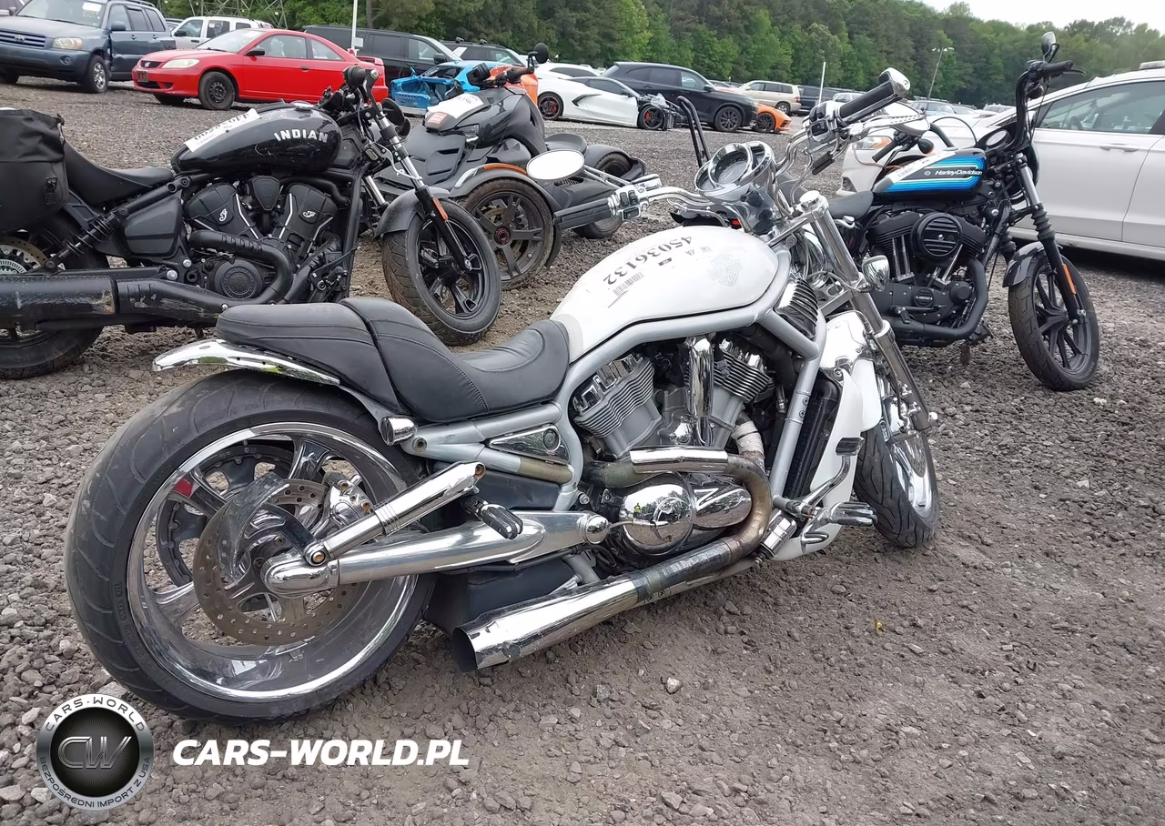 2002 Harley-Davidson Vrsca VIN:1HD1HAZ162K802475 - 4