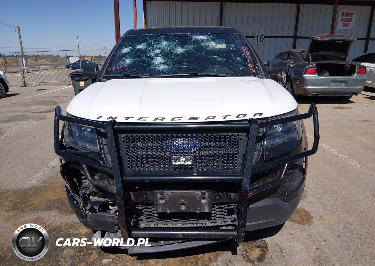 2019 Ford Police Interceptor Utility VIN:1FM5K8AT6KGB24173 - 12