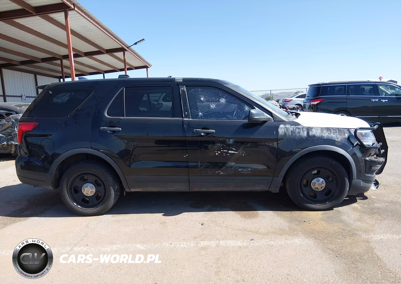 2019 Ford Police Interceptor Utility VIN:1FM5K8AT6KGB24173 - 13