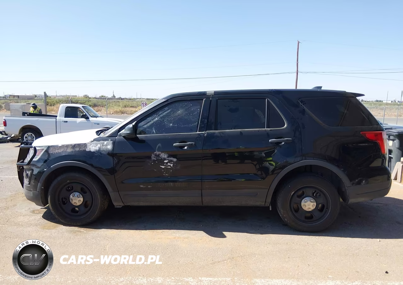 2019 Ford Police Interceptor Utility VIN:1FM5K8AT6KGB24173 - 14