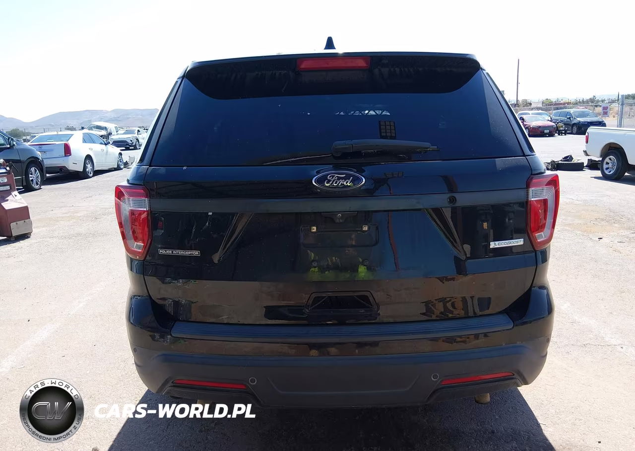 2019 Ford Police Interceptor Utility VIN:1FM5K8AT6KGB24173 - 16
