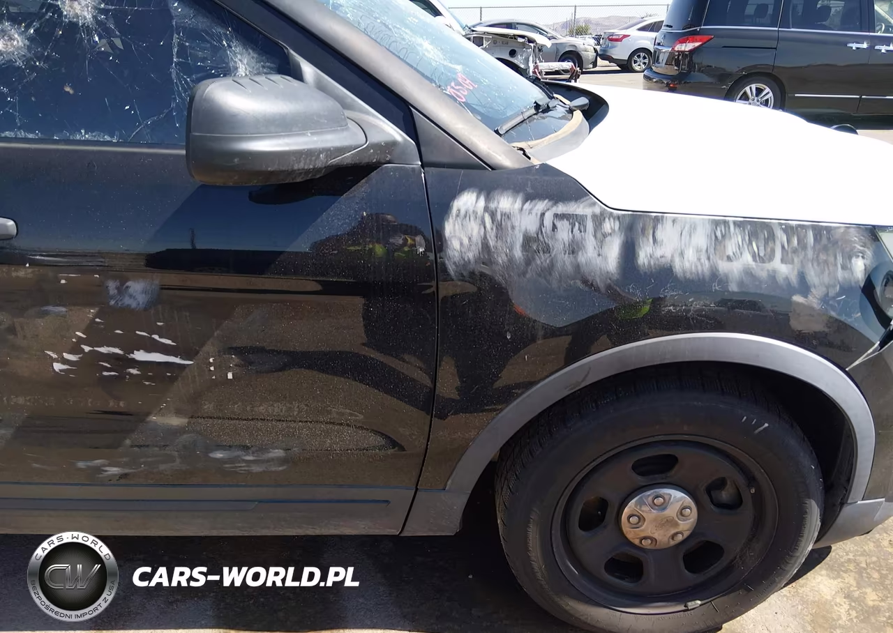 2019 Ford Police Interceptor Utility VIN:1FM5K8AT6KGB24173 - 17