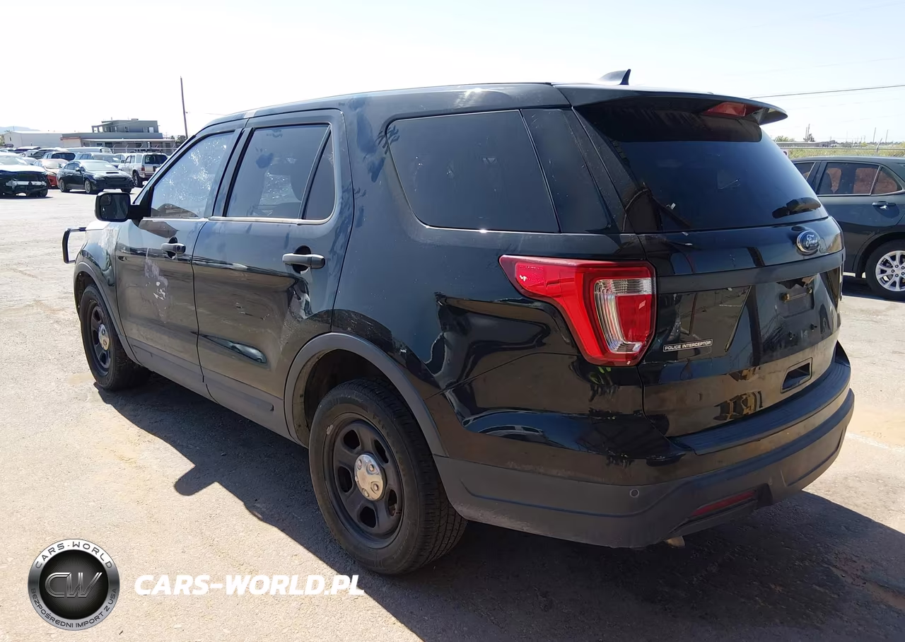 2019 Ford Police Interceptor Utility VIN:1FM5K8AT6KGB24173 - 3