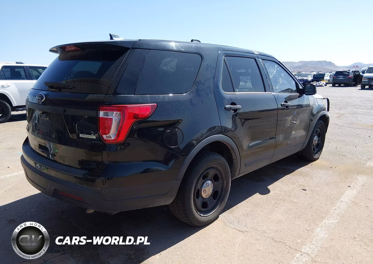 2019 Ford Police Interceptor Utility VIN:1FM5K8AT6KGB24173 - 4