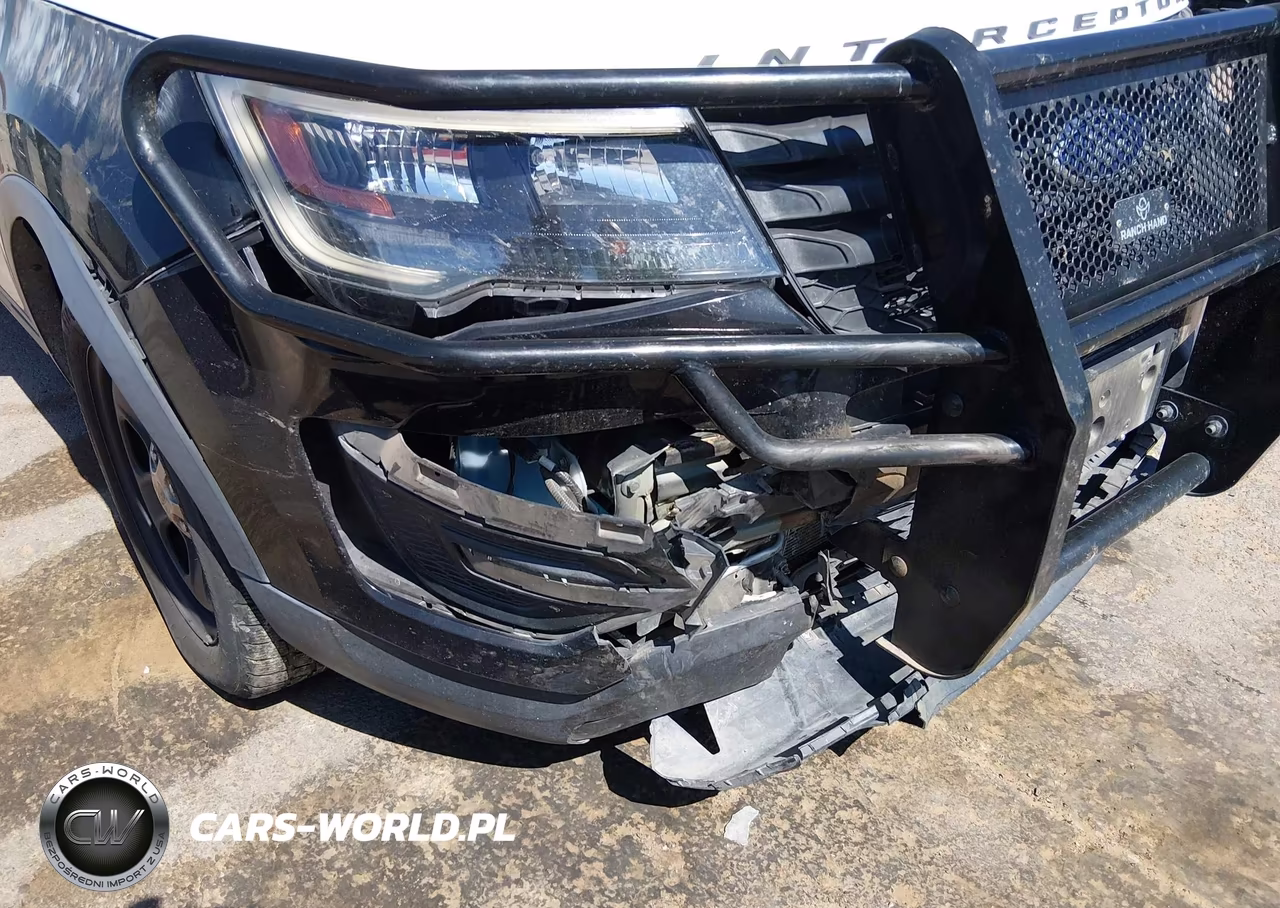 2019 Ford Police Interceptor Utility VIN:1FM5K8AT6KGB24173 - 6