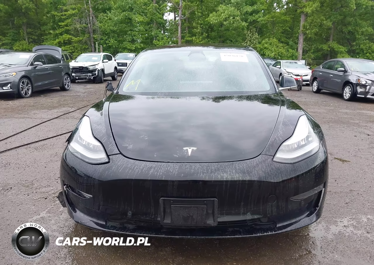 2019 Tesla Model 3 VIN:5YJ3E1EA4KF305138 - 12