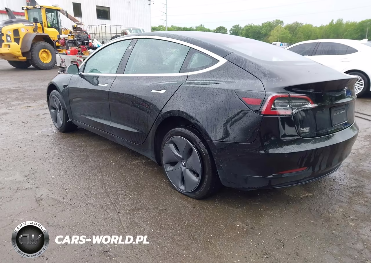 2019 Tesla Model 3 VIN:5YJ3E1EA4KF305138 - 3