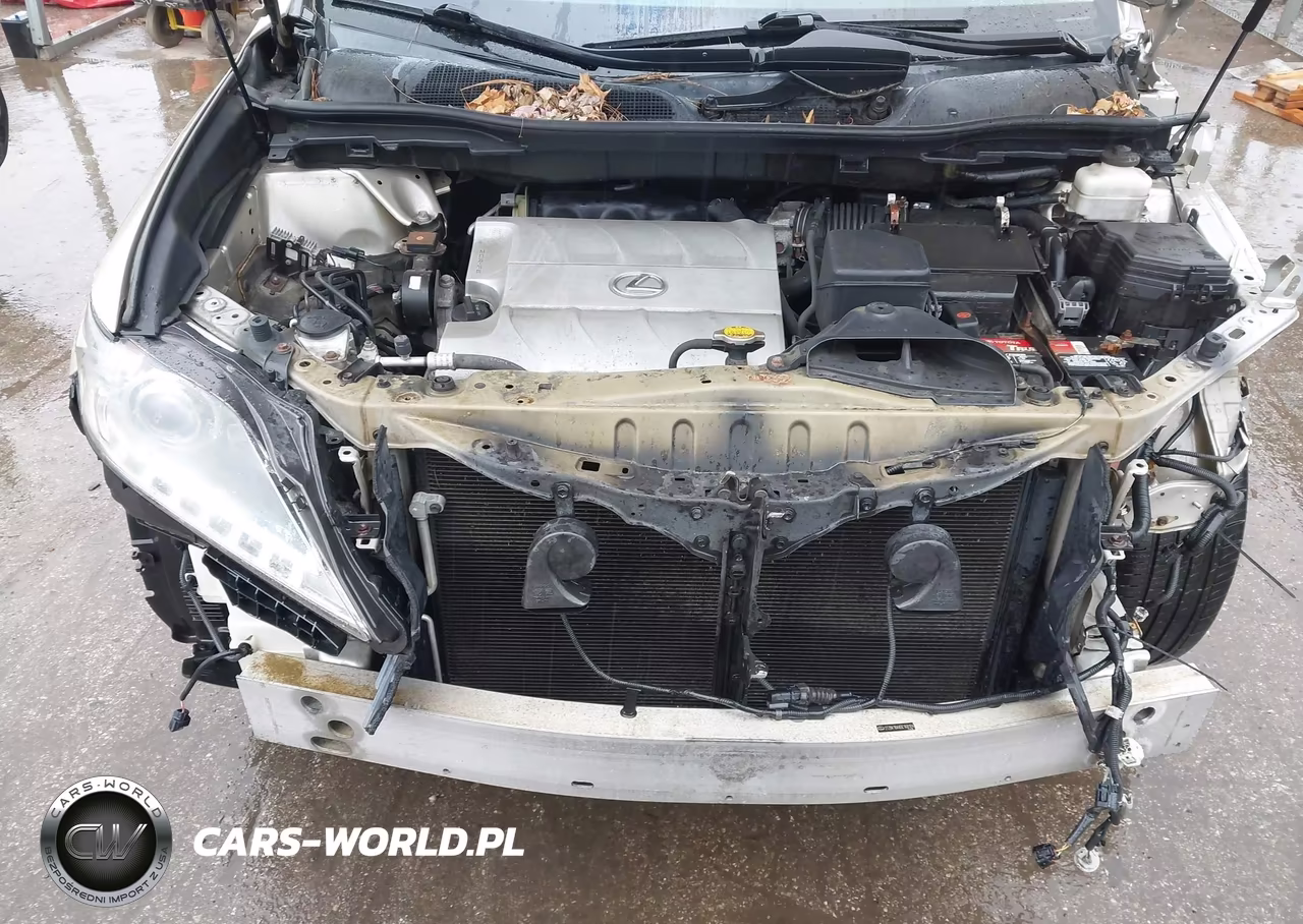 2013 Lexus Rx 350 VIN:2T2BK1BAXDC168184 - 10