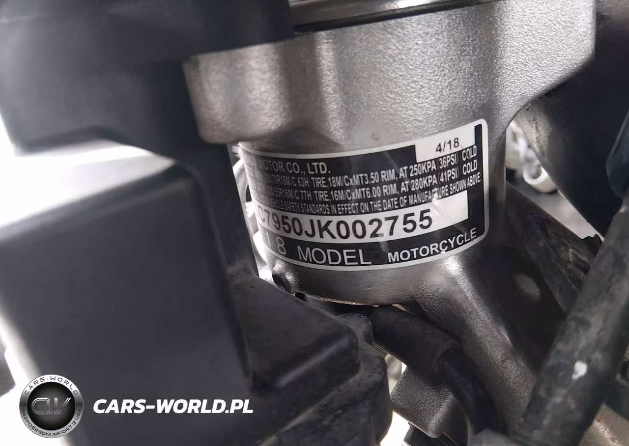 2018 Honda Gl1800 D VIN:JH2SC7950JK002755 - 10