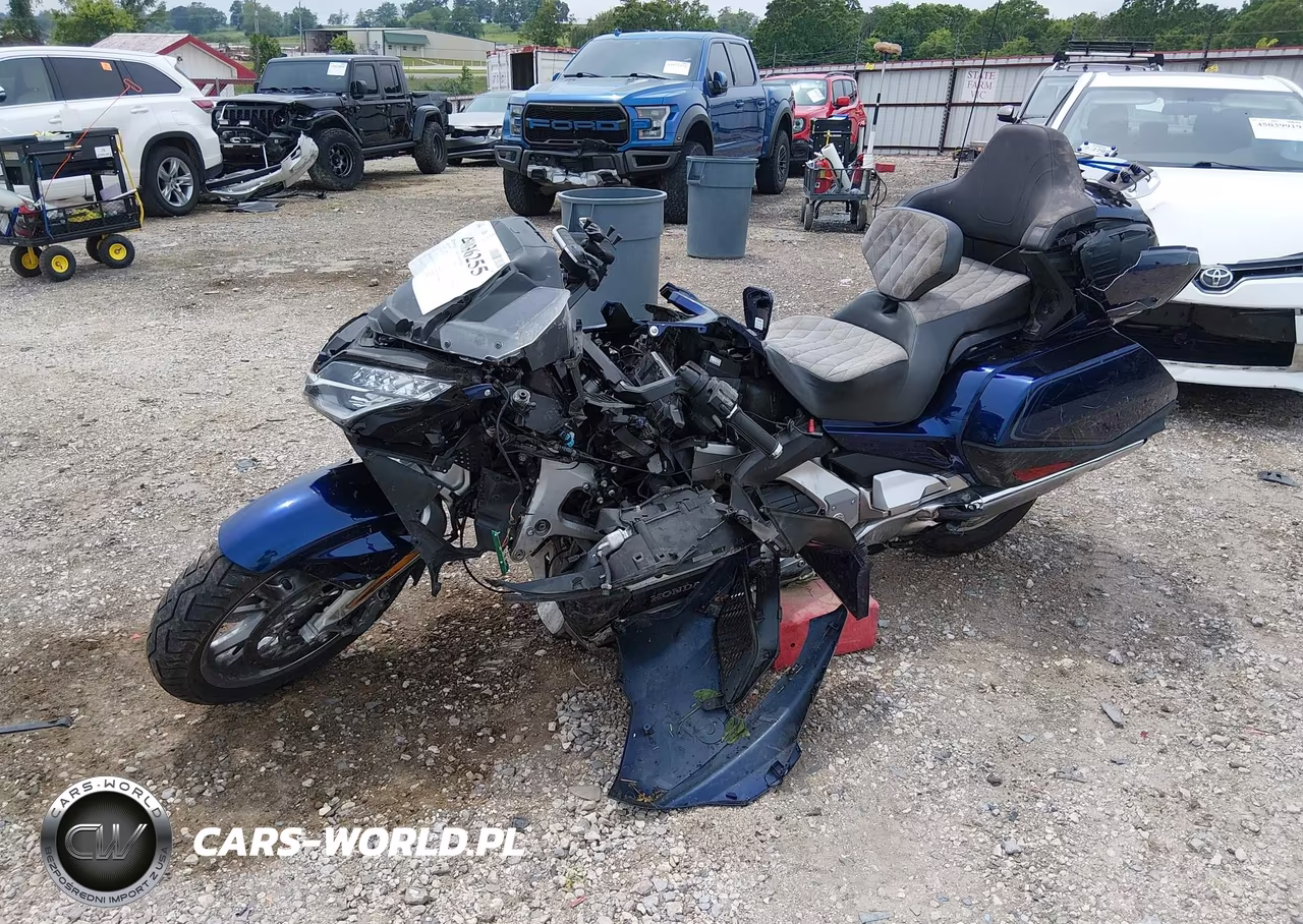 2018 Honda Gl1800 D VIN:JH2SC7950JK002755 - 9