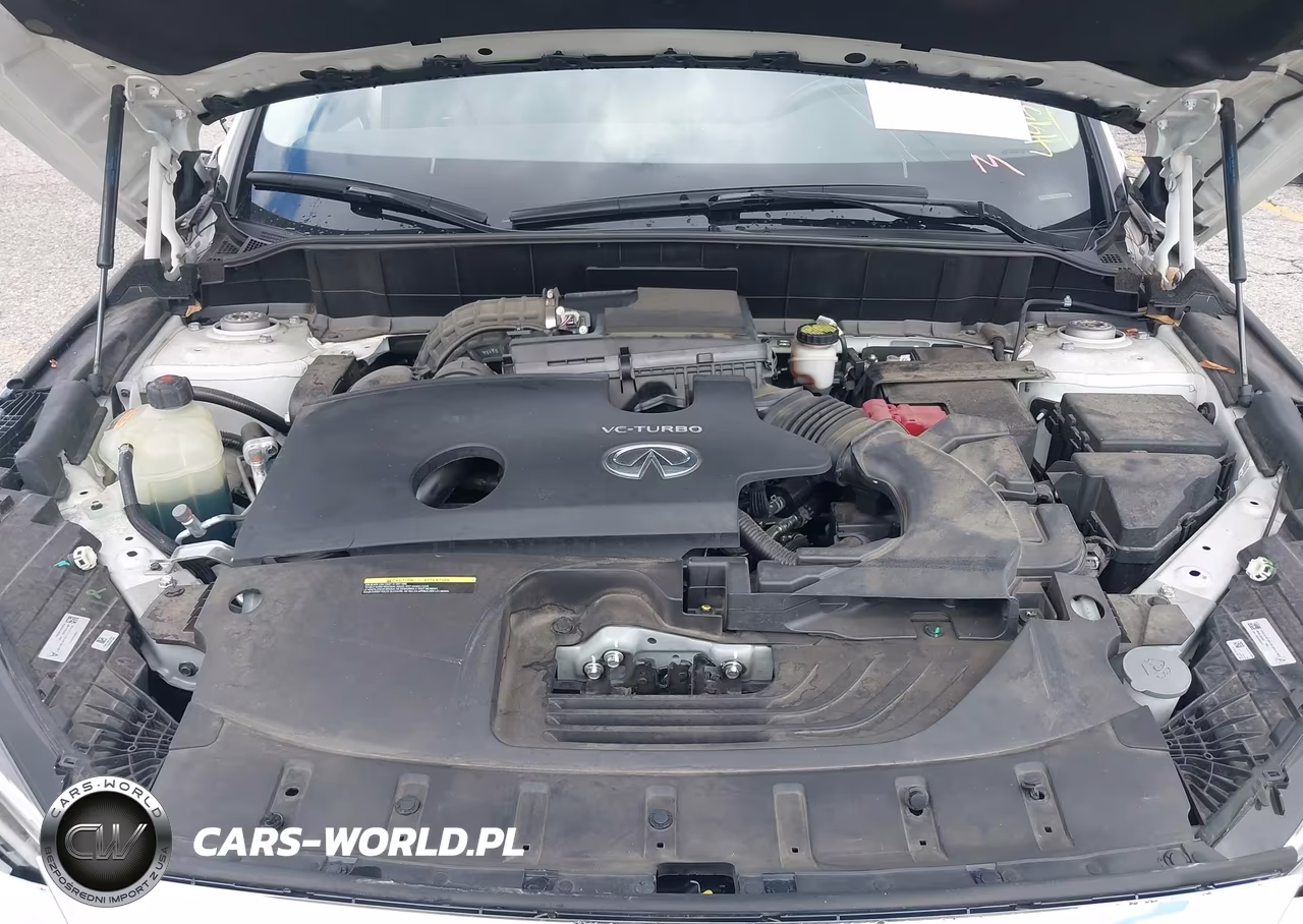 2020 Infiniti Qx50 Essential VIN:3PCAJ5M17LF114195 - 10