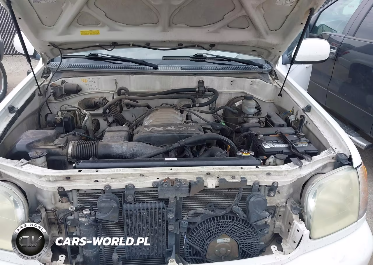2004 Toyota Sequoia Limited V8 VIN:5TDZT38AX4S217944 - 10