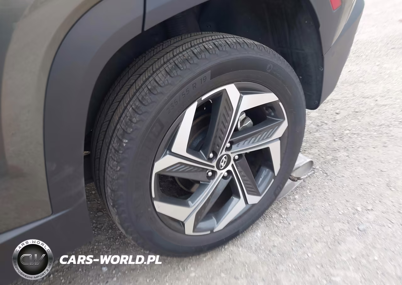 2023 Hyundai Tucson Limited VIN:5NMJECAE9PH257802 - 12