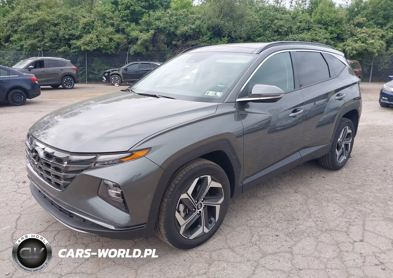 2023 Hyundai Tucson Limited VIN:5NMJECAE9PH257802 - 2