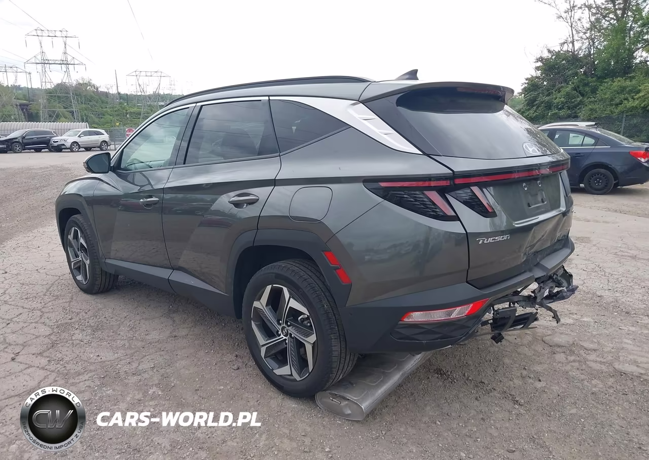 2023 Hyundai Tucson Limited VIN:5NMJECAE9PH257802 - 3