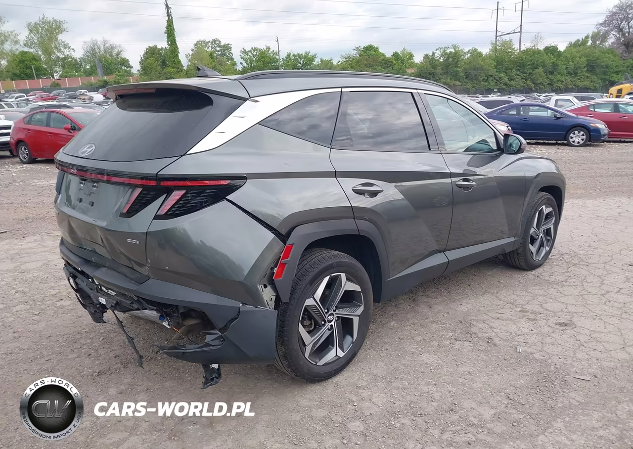 2023 Hyundai Tucson Limited VIN:5NMJECAE9PH257802 - 4